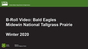 Midewin National Tallgrass Prairie - Winter 2020 Broll Bald Eagles Broadcast