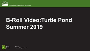 2019-FS-Midewin-Broll_TurtlePond-001