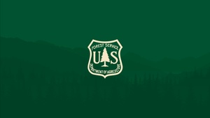 Joining Microsoft Teams Meetings on Forest Service Poly Devices