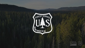 Oportunidades de trabajo con el Servicio Forestal