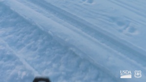 Peak Bagger Series: Sardine Peak