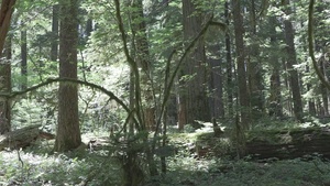 NOGA_July2024_Broll_C