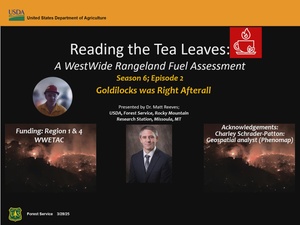 Reading the Tea Leaves (Season 6 Episode 2): Goldilocks was Right After All