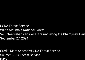 White Mountain National Forest - Champney Trail