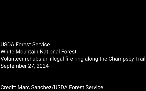 White Mountain National Forest - Champney Trail