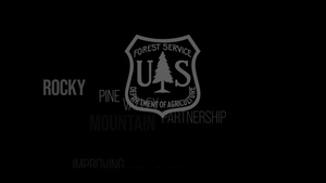 Improving Resilience and Reducing Wildfire Risk in Pine Valley: Rocky Mountain Research Station - Dixie National Forest Partnership