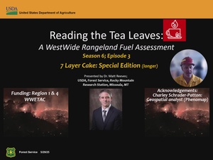 Reading the Tea Leaves (Season 6 Episode 3): Seven-Layer Cake (Older version)