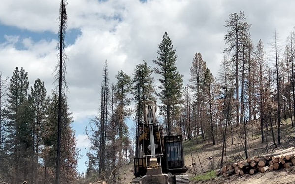 20250604-FS-R4-BNF-MW-Delimber 0001