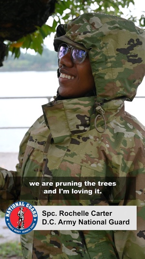 JTF - DC pruning mission brings peace of mind