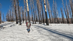 Peak Bagger Series: Mount Ingalls