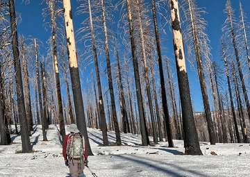 Peak Bagger Series: Mount Ingalls