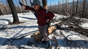 Peak Bagger Series: Mount Ingalls