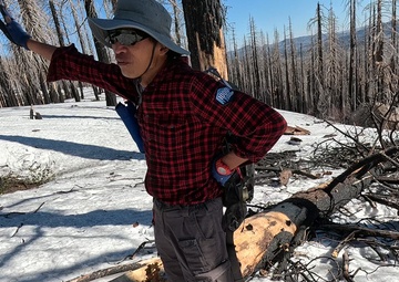 Peak Bagger Series: Mount Ingalls