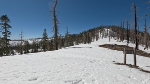 Peak Bagger Series: Mount Ingalls