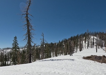 Peak Bagger Series: Mount Ingalls