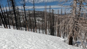 Peak Bagger Series: Mount Ingalls