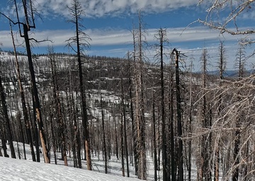 Peak Bagger Series: Mount Ingalls