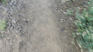 Peak Bagger Series: Highland and Silver Peaks