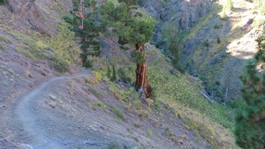 Peak Bagger Series: Highland and Silver Peaks