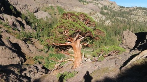 Peak Bagger Series: Highland and Silver Peaks