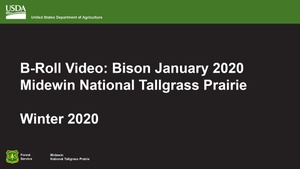Midewin National Tallgrass Prairie - Winter 2020 Broll Bison Broadcast.mp4