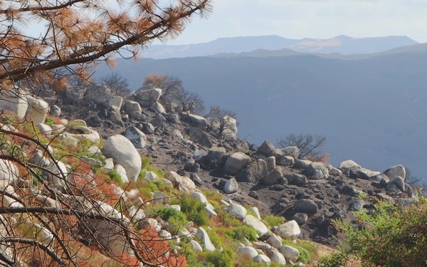 IslandsOfGreen-CNF-AirportFireVideo-Final-1080pHD