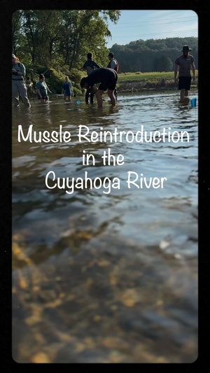 Mussel Reintroduction in the Cuyahoga River