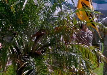 SSC SYD 89 Activation B-Roll