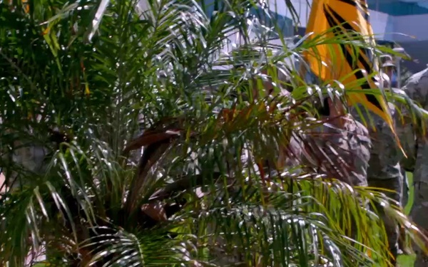 SSC SYD 89 Activation B-Roll