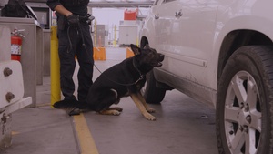 CBP Officers search vehicles for drugs and contraband