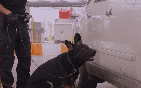 CBP Officers search vehicles for drugs and contraband