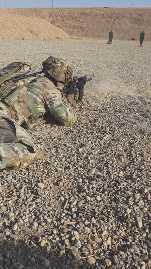 REEL - Coalition Forces gather to attain the Dutch Qualification Badge