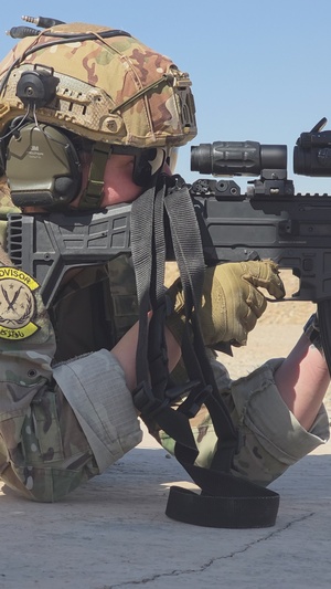 REEL - Coalition Forces gather to attain the Dutch Qualification Badge