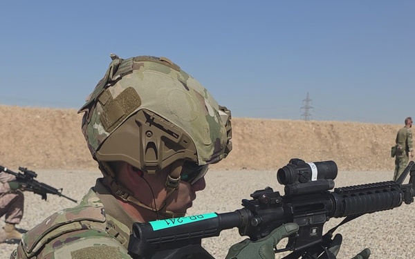 REEL - Coalition Forces gather to attain the Dutch Qualification Badge