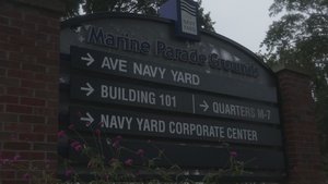 NMC 250: 2.50 Mile Birthday run