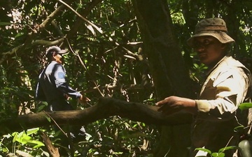 Combined Jungle Operations Training Course Shelter Training