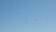 250th Amphibious Capabilities Demonstration Rehearsal