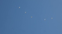 250th Amphibious Capabilities Demonstration Rehearsal