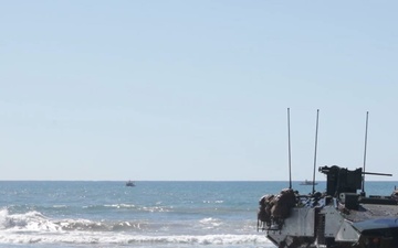 Marines with BLT 3/5 participate in U.S. Marine Corps 250th Birthday Amphibious Capabilities Demonstration