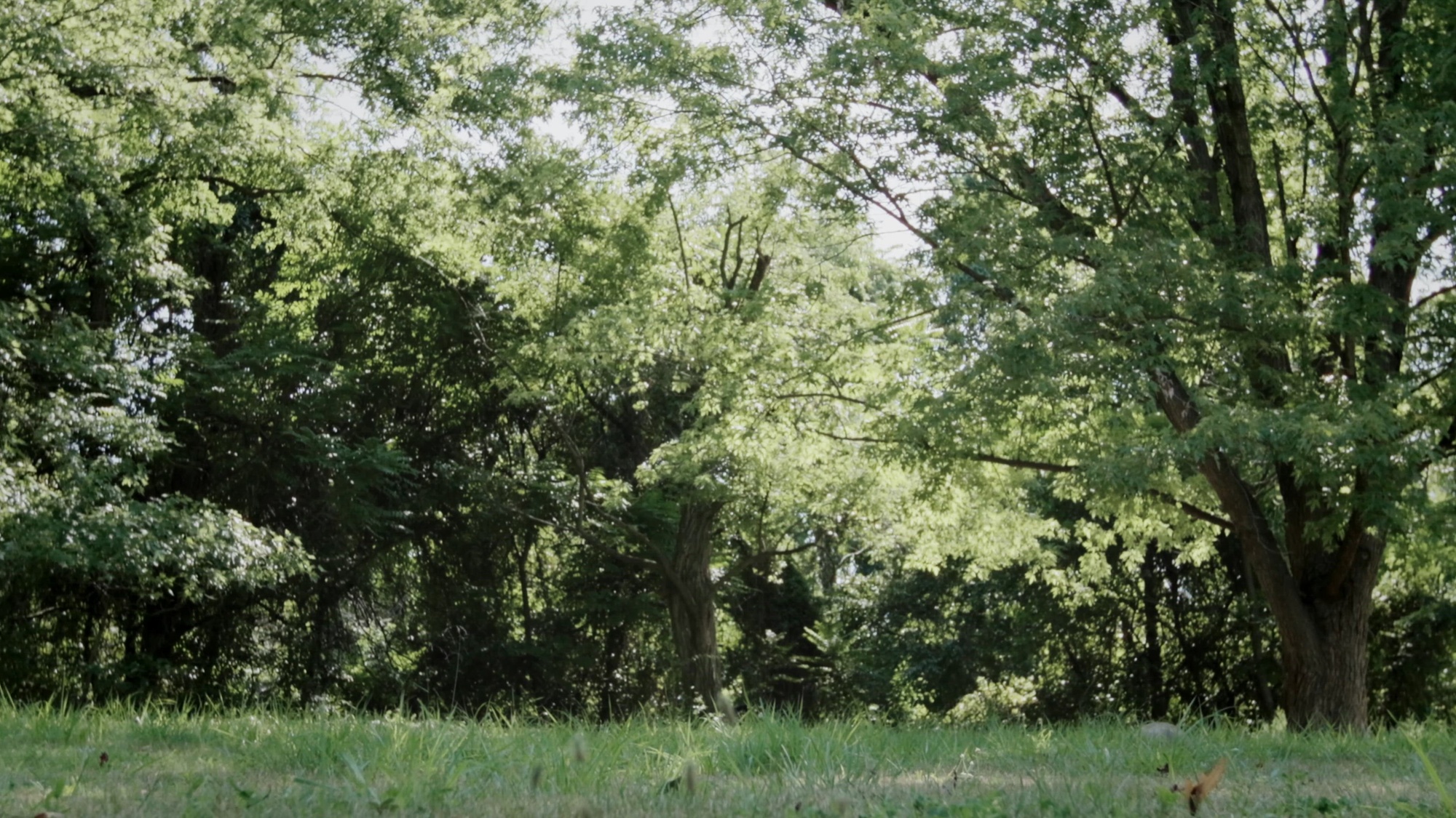 Commandant of the Marine Corps Gen. Eric M. Smith and Sergeant Major of the Marine Corps Sgt. Maj. Carlos A. Ruiz deliver the Marine Corps Birthday Ball message in Arlington, Virginia, on Nov. 10, 2025.