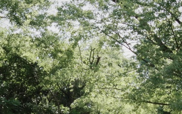 The 250th Marine Corps Birthday Message