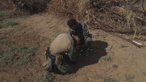 MWSS-174 train with 74th EOD Company and 154th CES