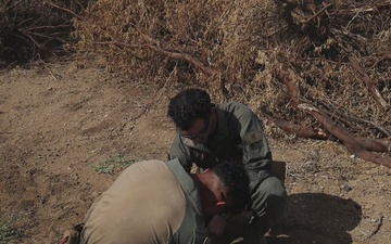 MWSS-174 train with 74th EOD Company and 154th CES