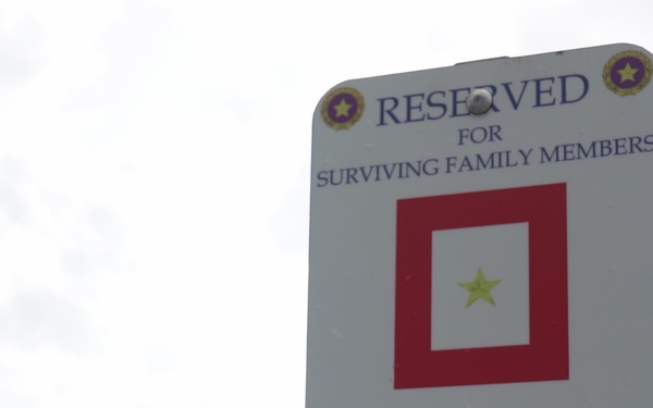 Gold Star Mother - Explainer Video