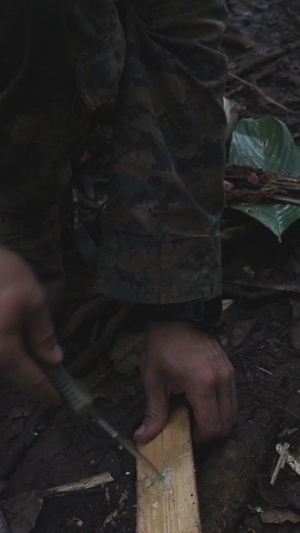 Combined Jungle Operations Training Course Phase 1 Reel