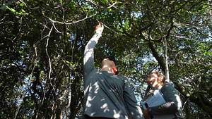 In search of the Okeechobee Gourd