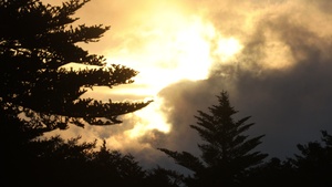 31st MEU | BLT 1/7 Conducts Demo Range