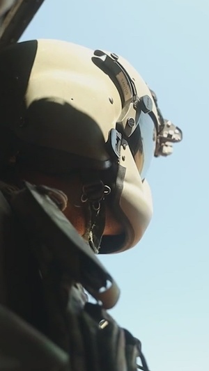 3d MLR Highlight Reel