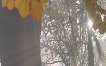 Convoy Ambushed during Combined Resolve