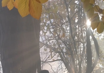 Convoy Ambushed during Combined Resolve